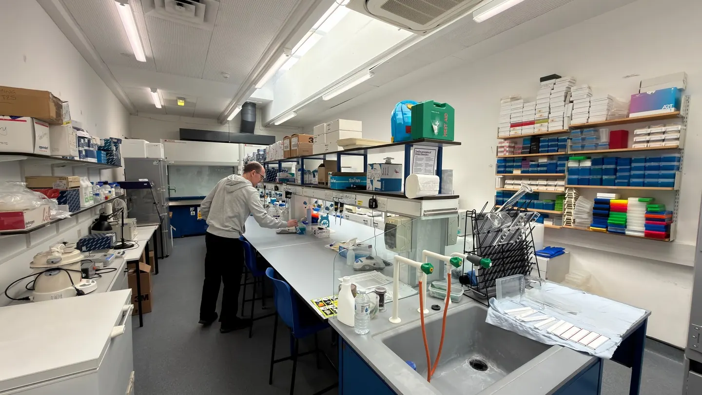 Shooting in the laboratory