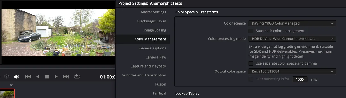 Resolve colour management settings