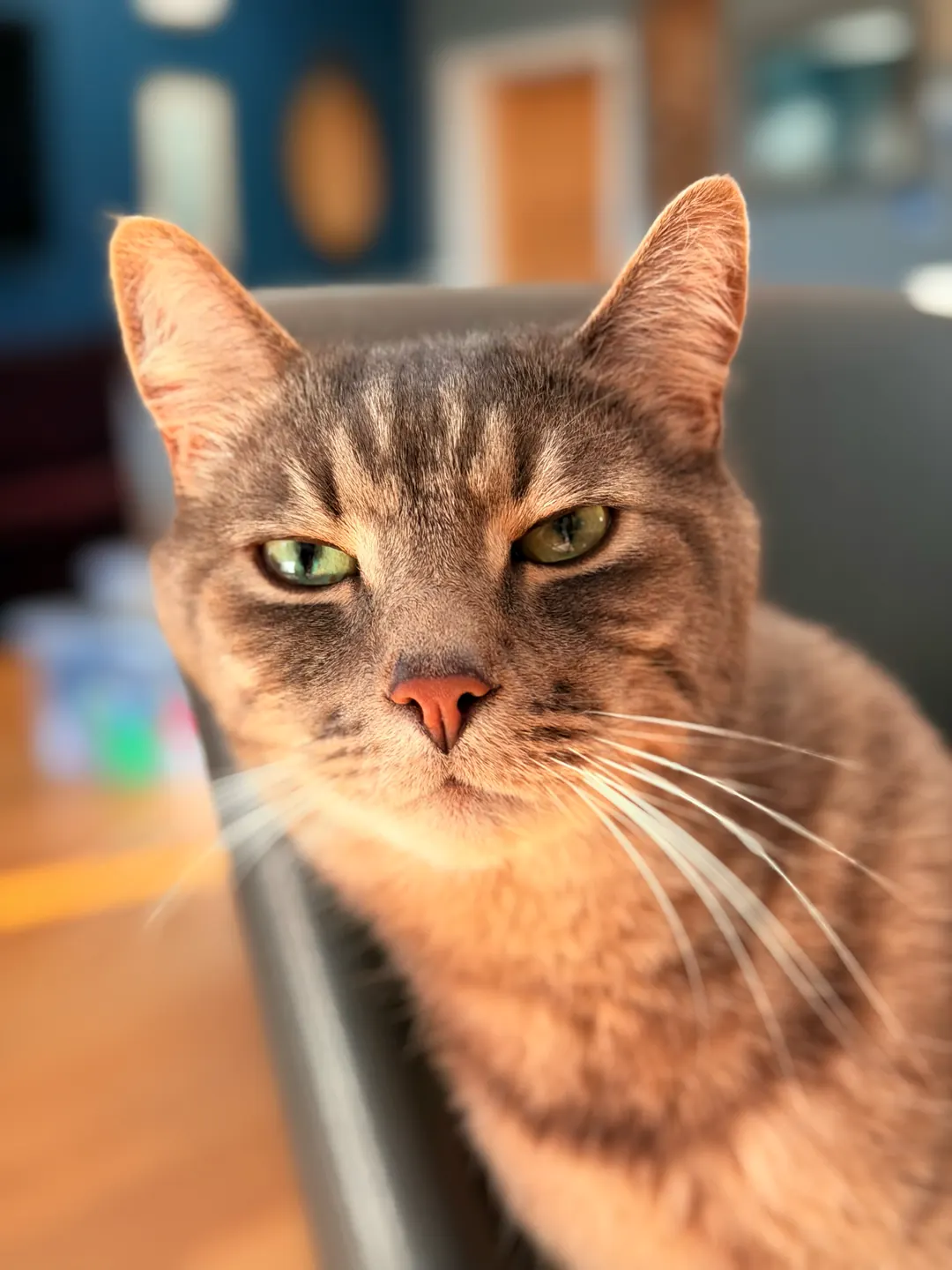 Portrait