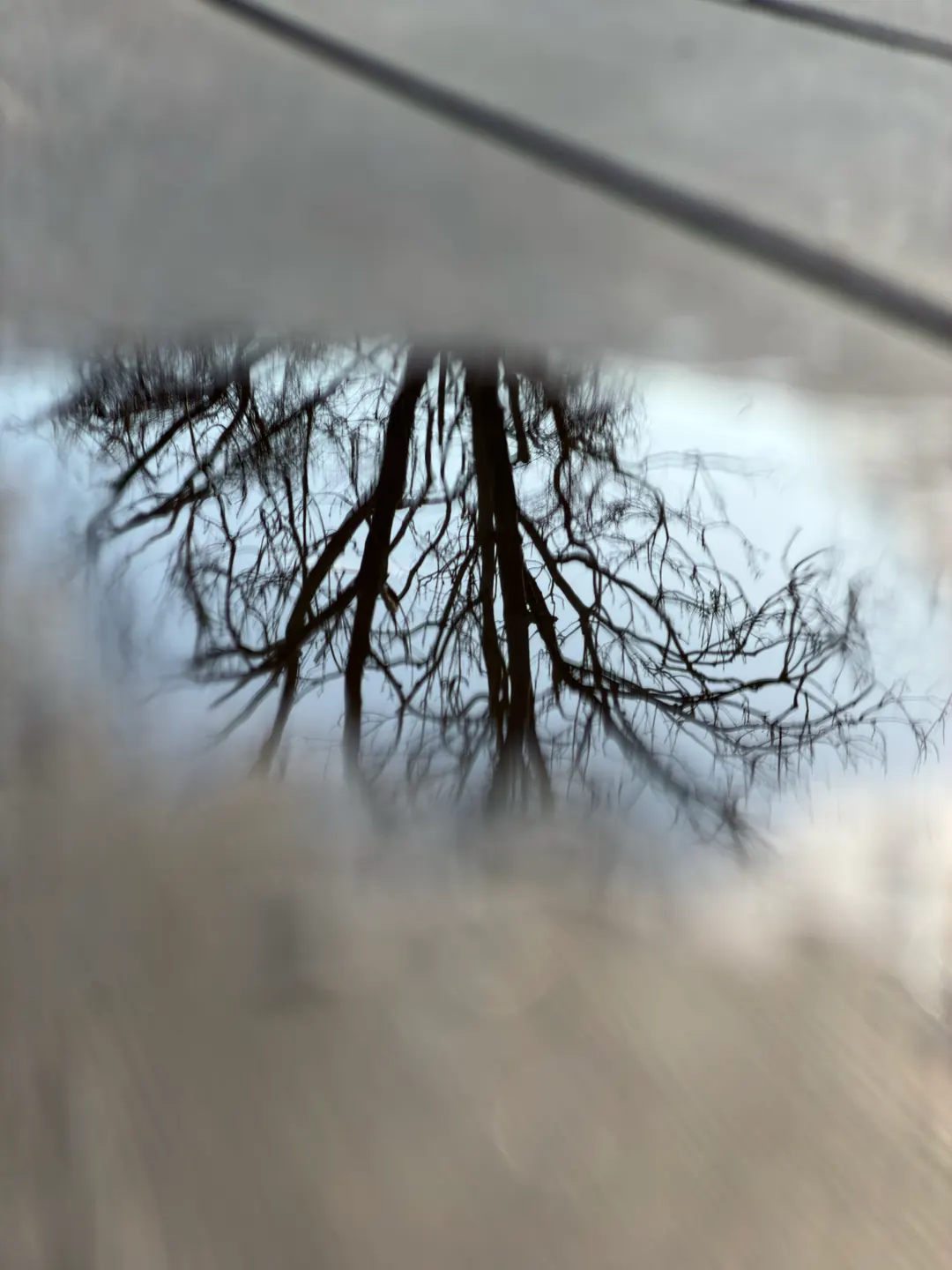 Reflection photograph