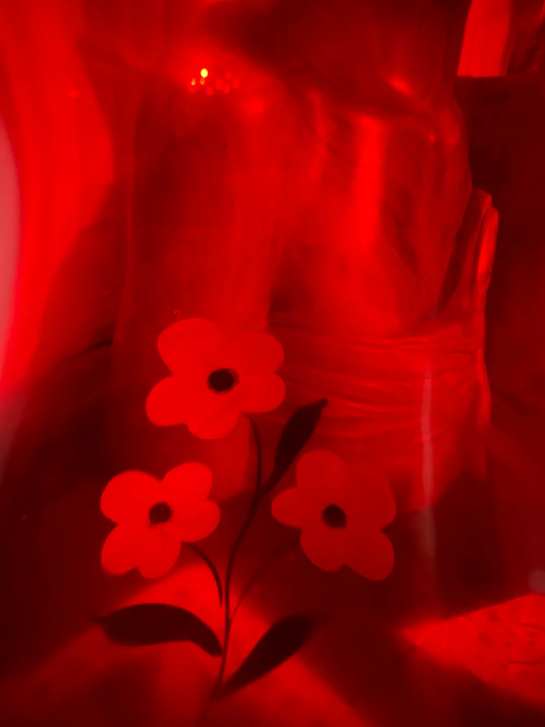 Photograph framed through an object